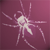 :iconpspl: