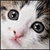 :iconpsychedelia-13: