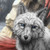 :iconpsychedelicanimagus: