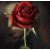 :iconpsychexiii:
