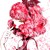 :iconpsycho-red-head: