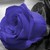 PsychoDemon13 :iconpsychodemon13: