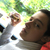 :iconpsychophrodo: