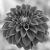 :iconpsychopomp13: