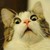 :iconpsychorabbitt: