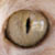 :iconpsychoskyler:
