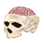 :iconptdc: