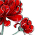 :iconPtit-Neko: