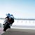 :iconptit-ourson: