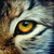 :iconptitlynx: