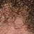 :iconpubichairplz:
