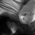 :iconpuby: