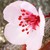 :iconpucca995: