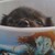 :iconpuchiko78: