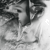 :iconPuckaa: