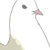 :iconpuddingasm: