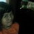 :iconpuffinmuffin: