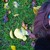 :iconpuffmonster: