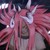:iconpuffy-king: