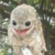:iconpuffyperson: