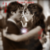 :iconpughandelenalover: