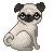 :iconpuglife29: