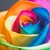 :iconpukinggrainbows: