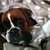 :iconpukiphotography: