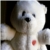 :iconpulicoti: