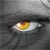 :iconPulseDragon:
