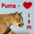 :iconpuma-ism: