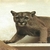 :iconpuma19: