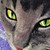 :iconpumatroll: