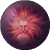 :iconpumpido: