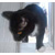 :iconpumpkinhead90: