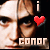 :iconpunkikoala: