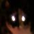 :iconpunkprincess13: