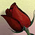 :iconpunkprincessxx: