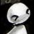 :iconpunkrocker243: