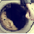 :iconpunterooni: