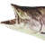 :iconpupa: