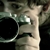 :iconpuppet89: