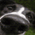 :iconpuppy-sniffer: