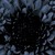 :iconpuppy-spit: