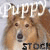 :iconPuppy-Stock: