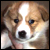 puppy18 :iconpuppy18:
