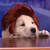 puppyconanplz :iconpuppyconanplz: