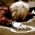 :iconpuppydog20038: