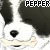 puppylove100 :iconpuppylove100: