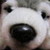 :iconpuppyrex: